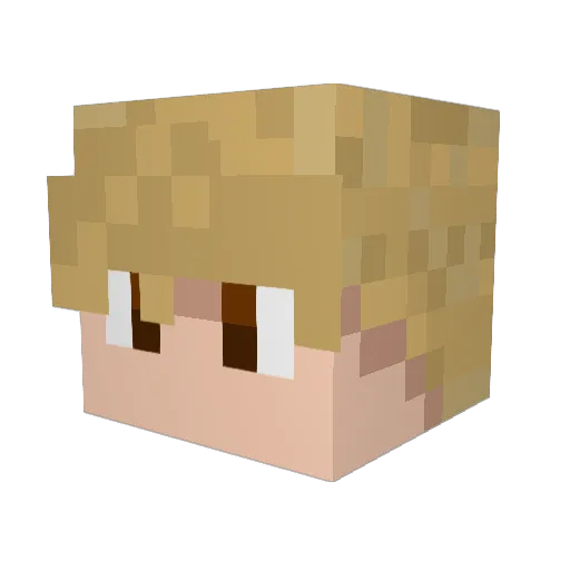 AdarDanPines Minecraft avatar head, 3D render