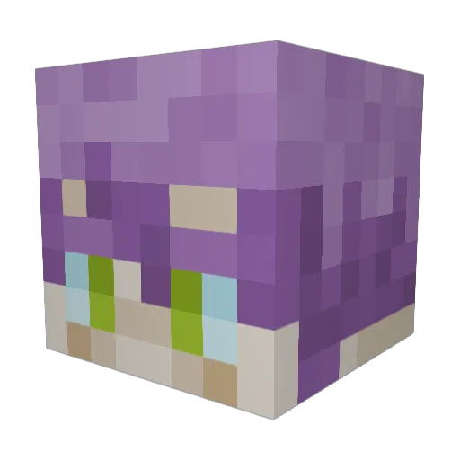 Adaya1001 Minecraft avatar head, 3D render