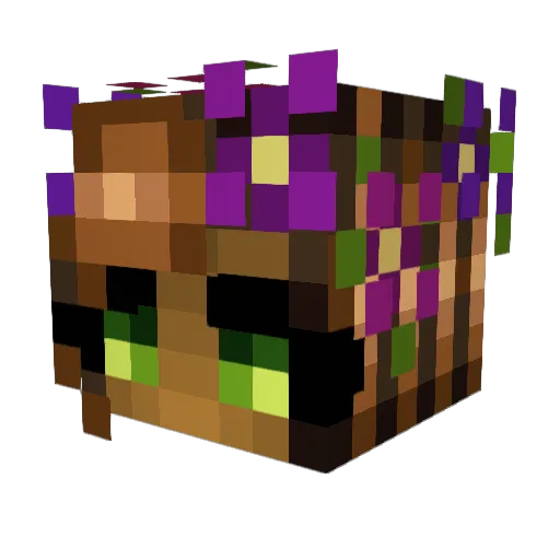 Adbrown123 Minecraft avatar head, 3D render