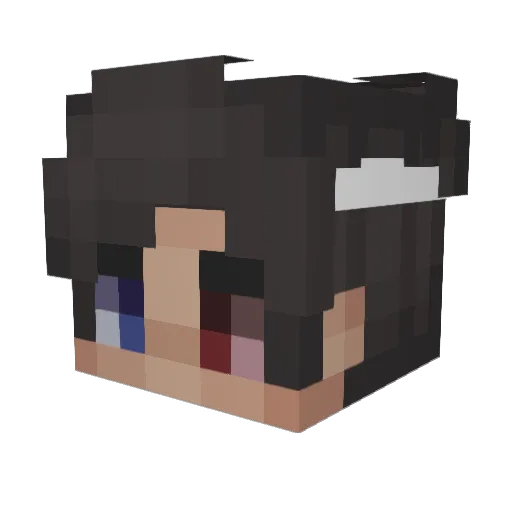 Adcoin Minecraft avatar head, 3D render