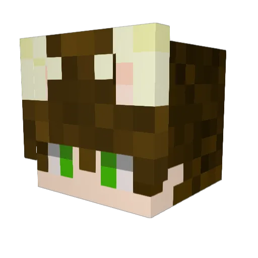 AddRain391 Minecraft avatar head, 3D render