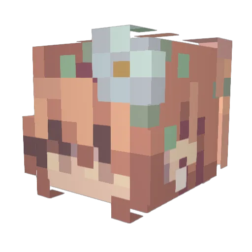 Adderalzz Minecraft avatar head, 3D render