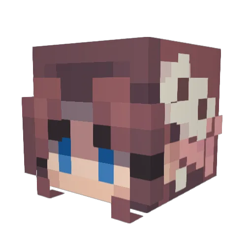 Addicted_HelpMe Minecraft avatar head, 3D render