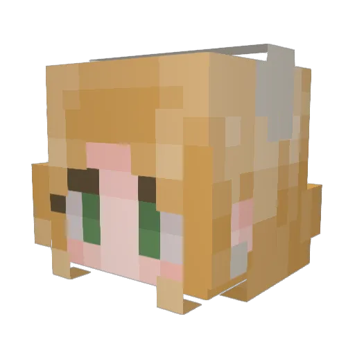 Addikins02 Minecraft avatar head, 3D render