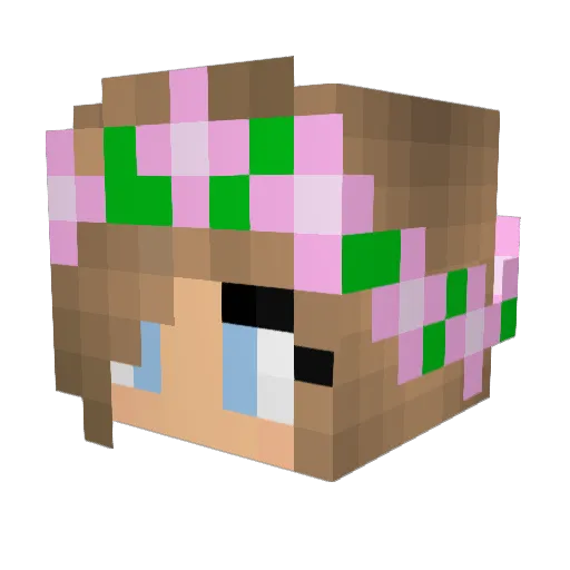 Addison_Ron Minecraft avatar head, 3D render