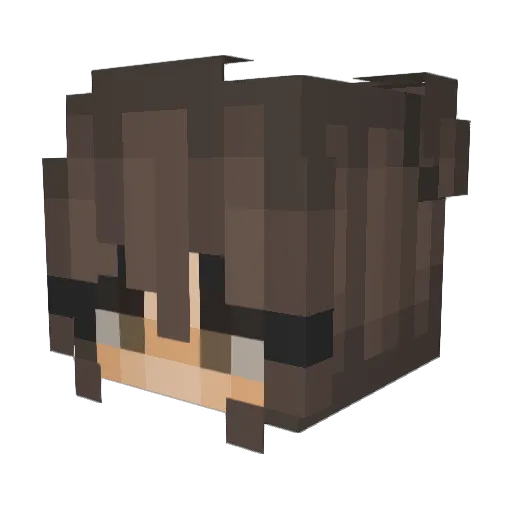 Addisonexe1 Minecraft avatar head, 3D render