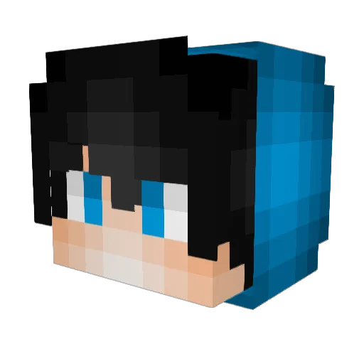 Additional_Info Minecraft avatar head, 3D render