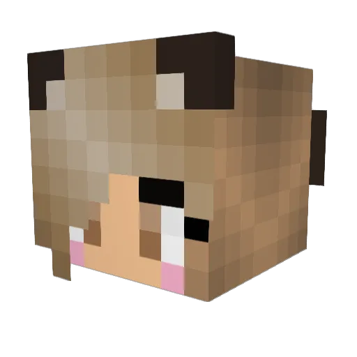 Addy2112 Minecraft avatar head, 3D render