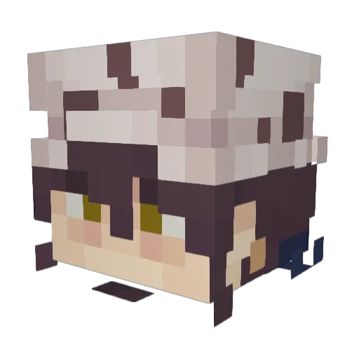 Addyx20 Minecraft avatar head, 3D render