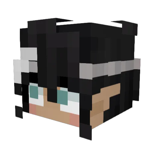 AdeSwr_ Minecraft avatar head, 3D render