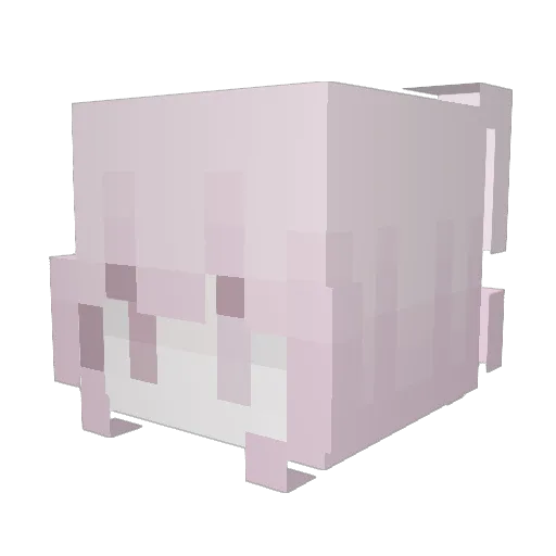 AdelaJergova Minecraft avatar head, 3D render