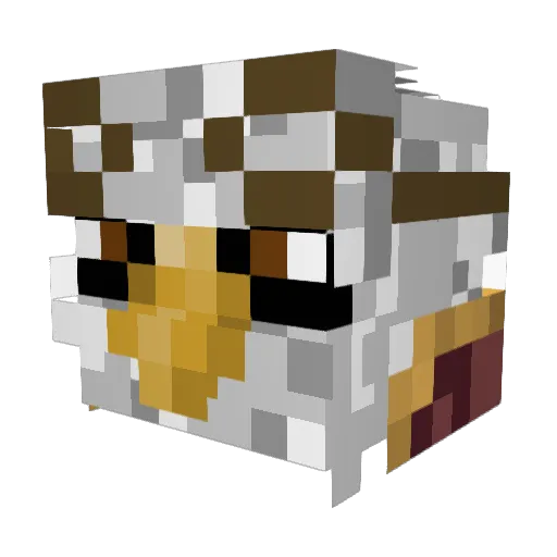 AdelaarYT Minecraft avatar head, 3D render