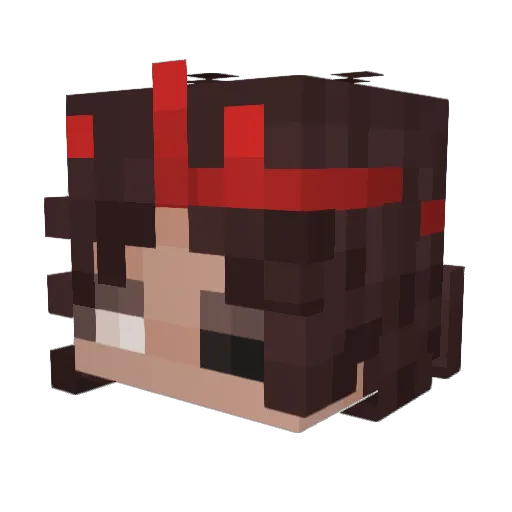 AdeleNinja Minecraft avatar head, 3D render