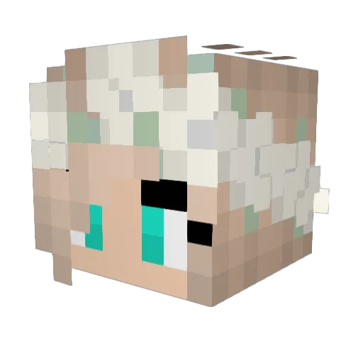 Adele_55 Minecraft avatar head, 3D render