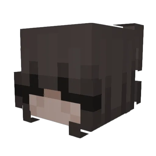 Adeliiiine Minecraft avatar head, 3D render