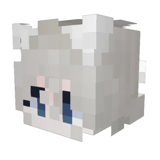 Aden0826 Minecraft avatar head, 3D render