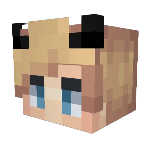 Adern Minecraft avatar head, 3D render