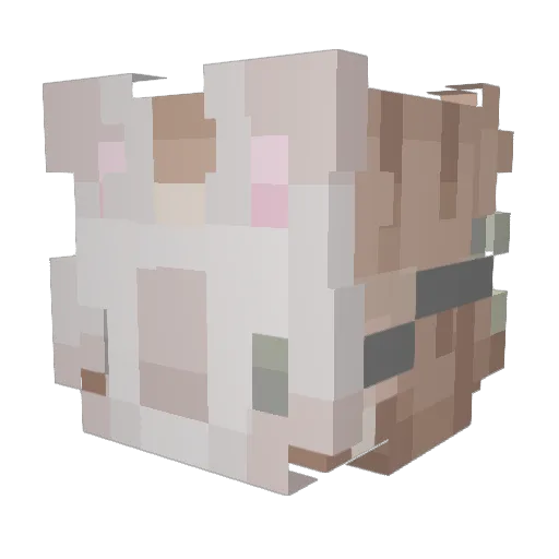 Aderpable13 Minecraft avatar head, 3D render