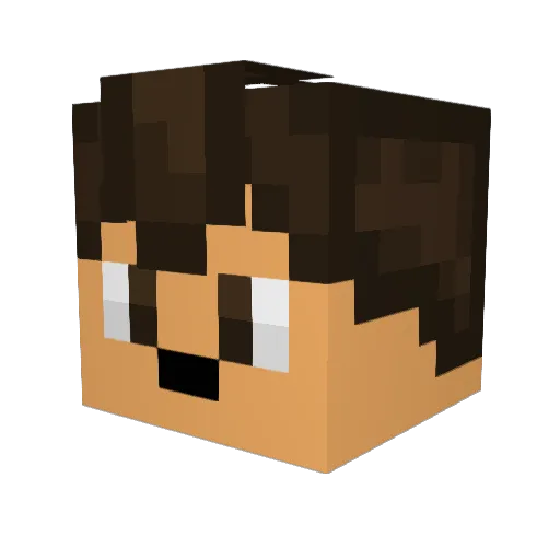 Adesion Minecraft avatar head, 3D render