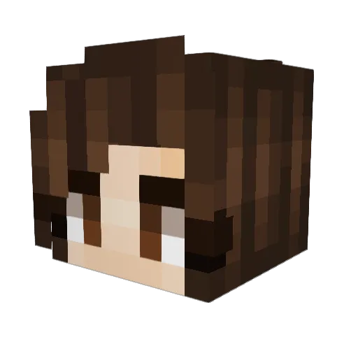 Adhara48 Minecraft avatar head, 3D render