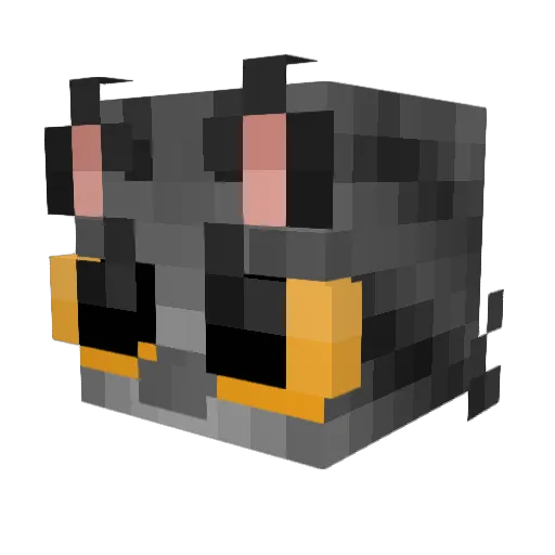 Adi15 Minecraft avatar head, 3D render
