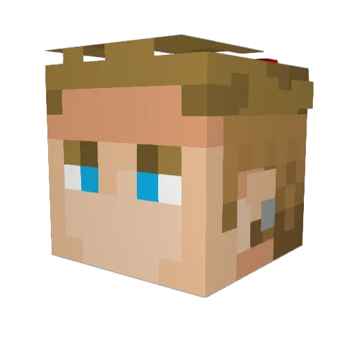 AdiFT11 Minecraft avatar head, 3D render