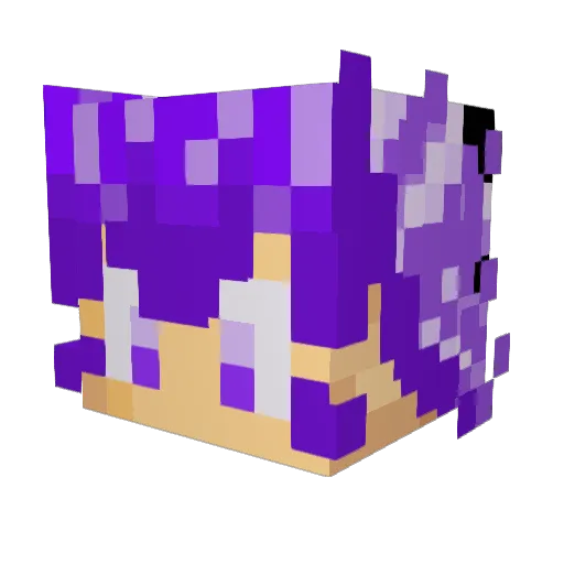 AdiGaming43 Minecraft avatar head, 3D render