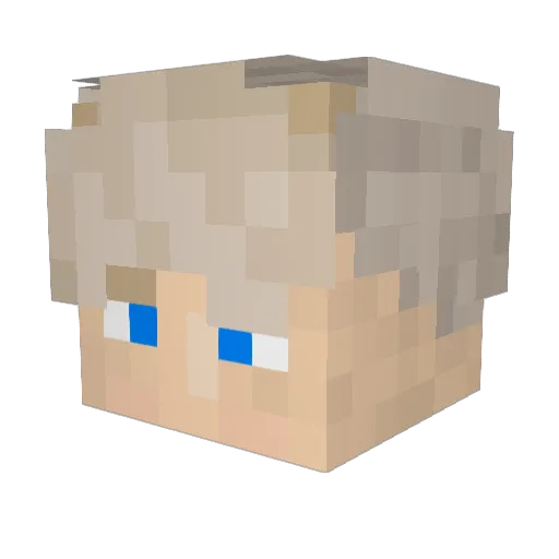 Adibi2019 Minecraft avatar head, 3D render