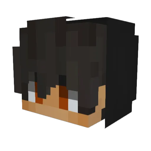 AdidasJonas Minecraft avatar head, 3D render
