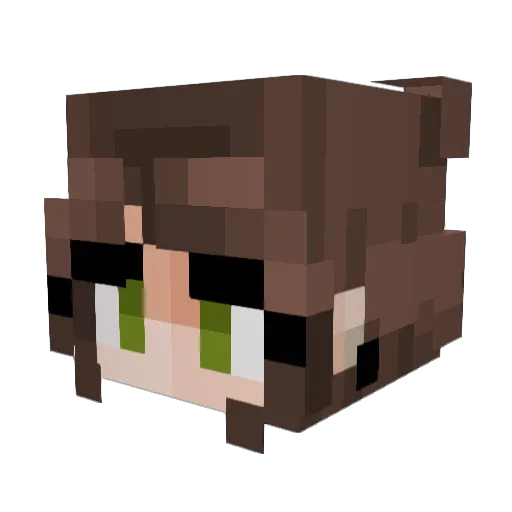 Adiena_2008 Minecraft avatar head, 3D render