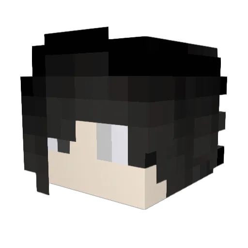 AdilPickles Minecraft avatar head, 3D render