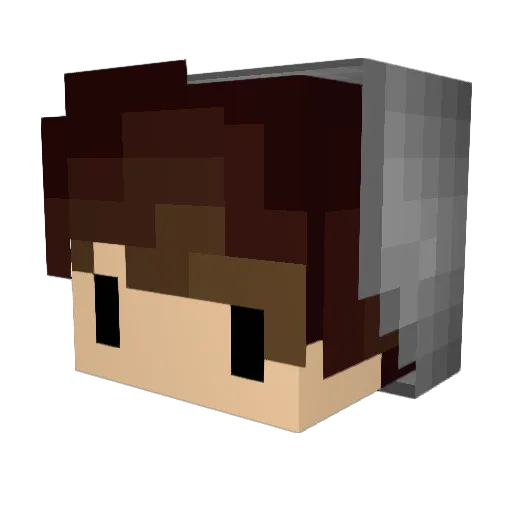 Adims Minecraft avatar head, 3D render