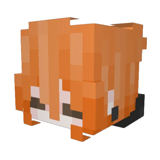 Adinush07 Minecraft avatar head, 3D render