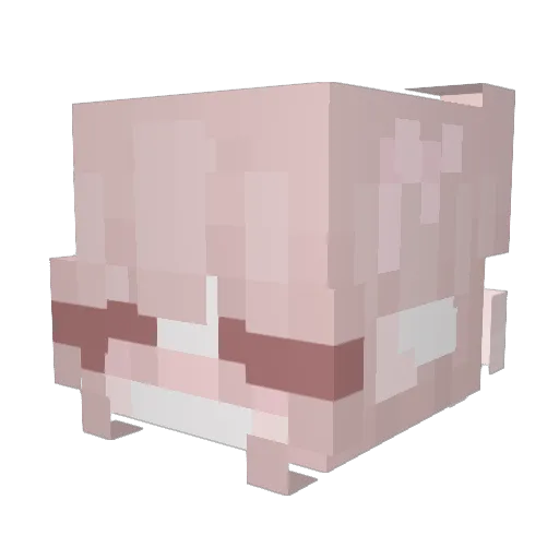 Adissom Minecraft avatar head, 3D render