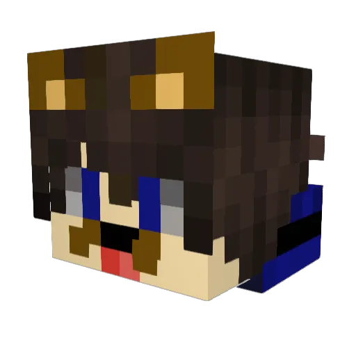Aditgaming0707 Minecraft avatar head, 3D render