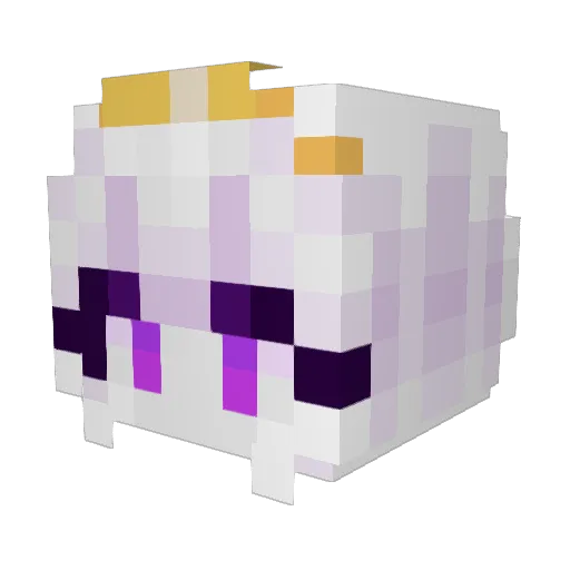 Aditya132 Minecraft avatar head, 3D render