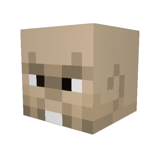 Adium93 Minecraft avatar head, 3D render