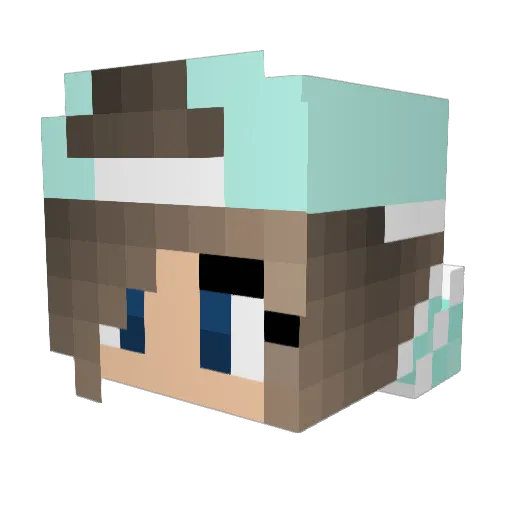 Adler169 Minecraft avatar head, 3D render