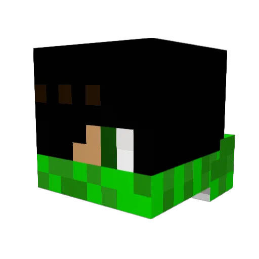 Admi9 Minecraft avatar head, 3D render