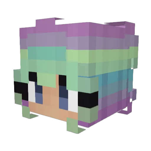 AdminAm20 Minecraft avatar head, 3D render