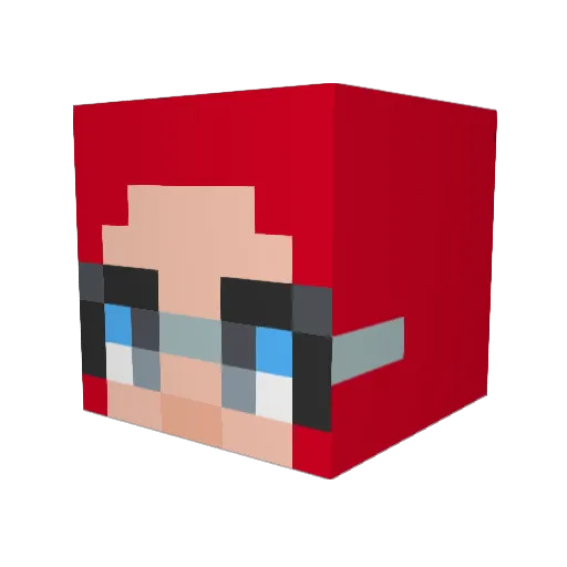 AdminDuck Minecraft avatar head, 3D render