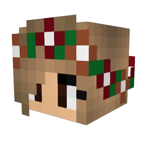 AdminRang Minecraft avatar head, 3D render