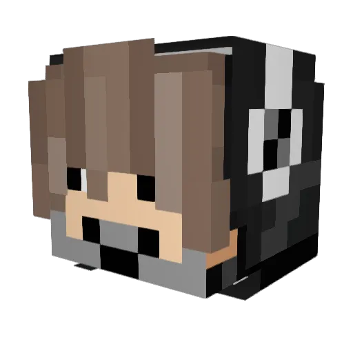 AdminsYT Minecraft avatar head, 3D render