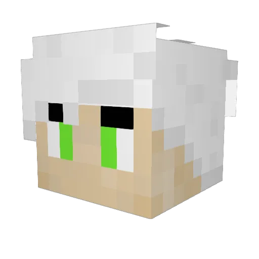 Admiral19 Minecraft avatar head, 3D render