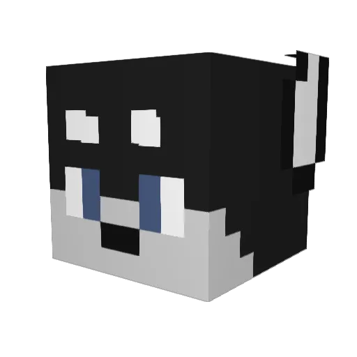 AdmiralBobkat Minecraft avatar head, 3D render