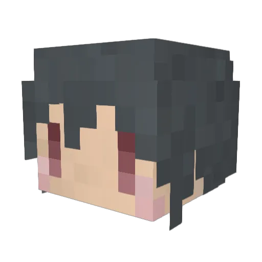 AdmiralDolphin2 Minecraft avatar head, 3D render