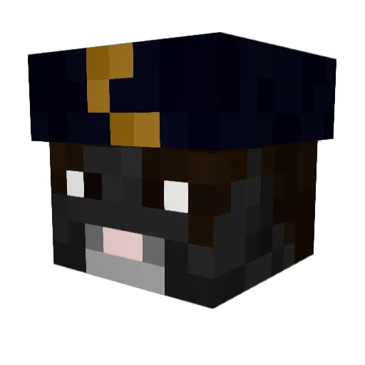 AdmiralMeowmix Minecraft avatar head, 3D render