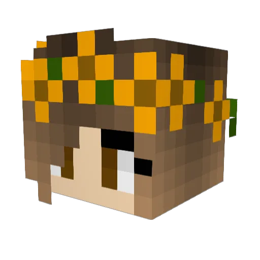 Admiratia Minecraft avatar head, 3D render