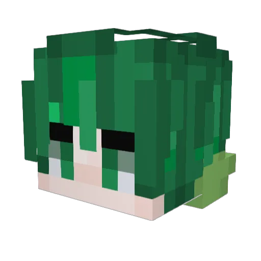 AdmireEvans Minecraft avatar head, 3D render