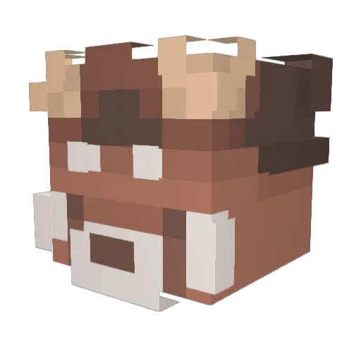 AdmrlDart Minecraft avatar head, 3D render